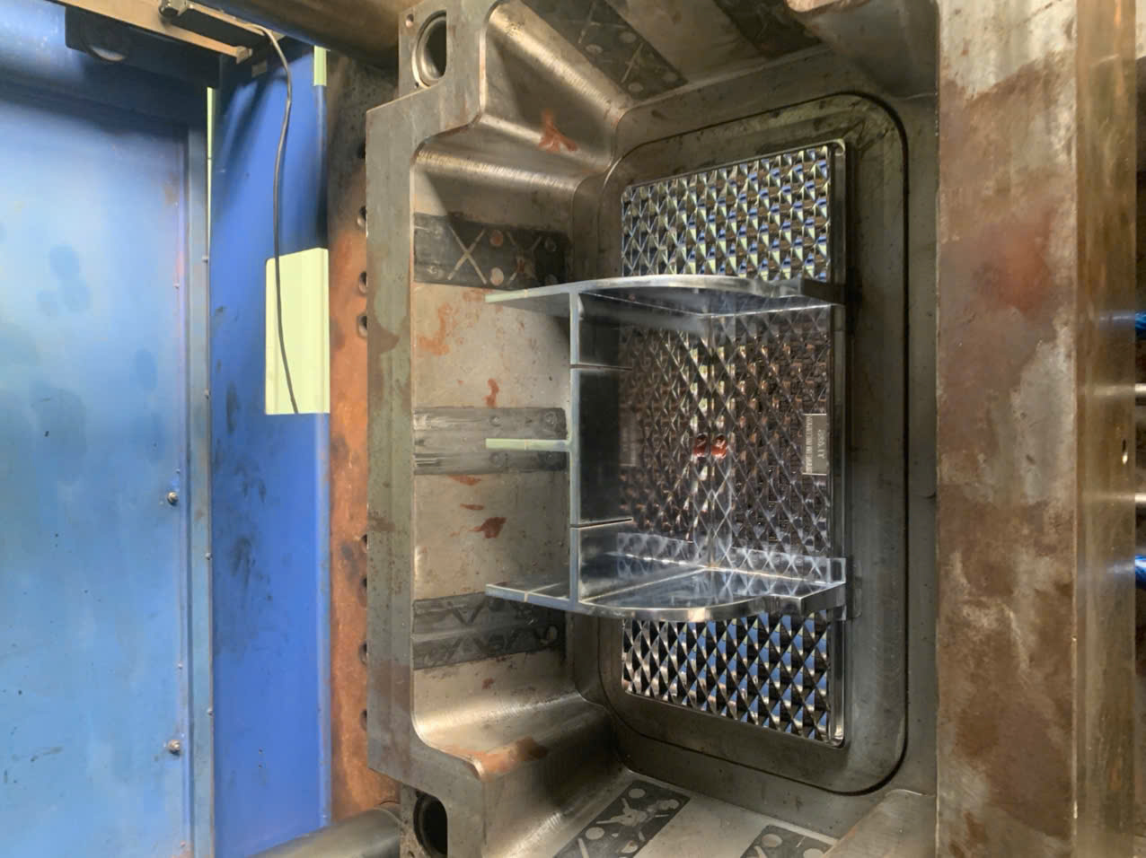 Mold 2.jpg